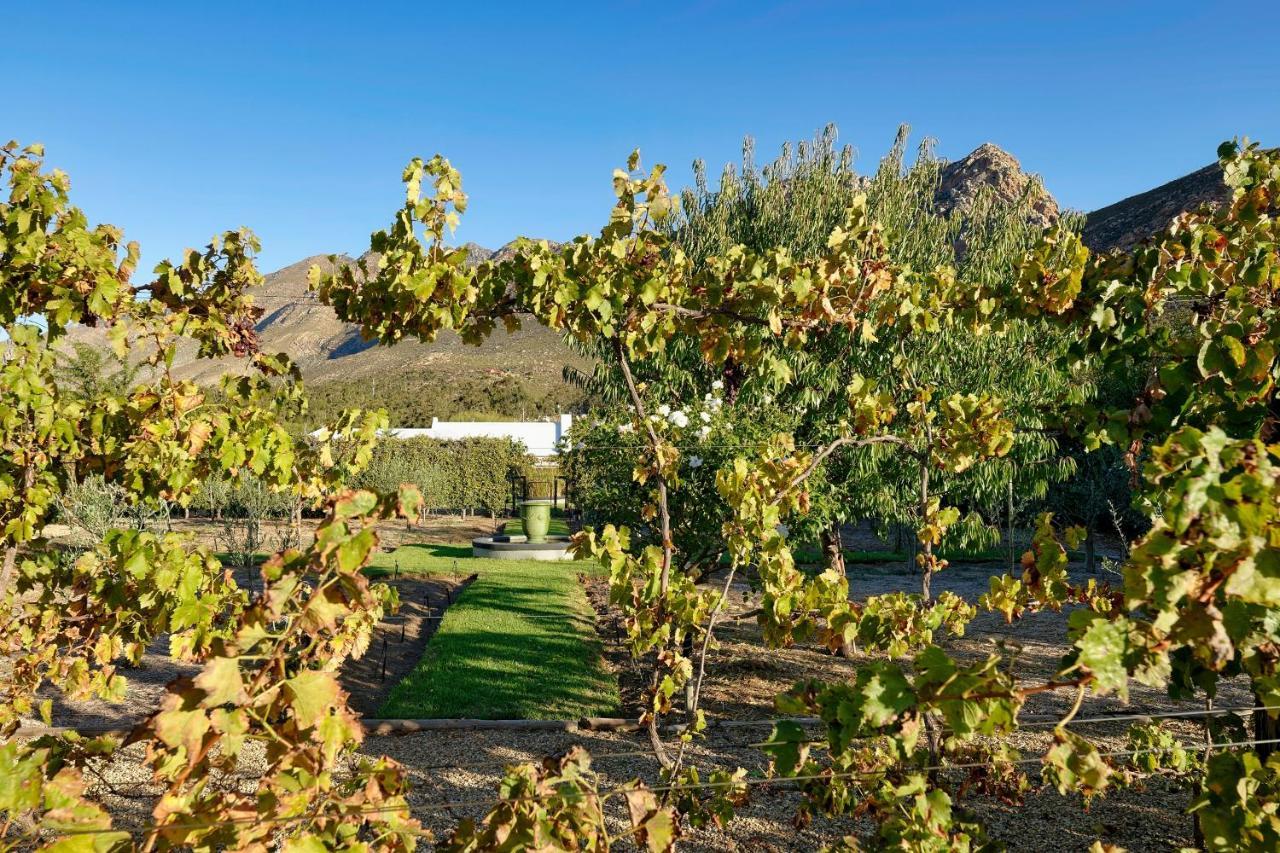 Jus Limin Hotel Montagu Buitenkant foto