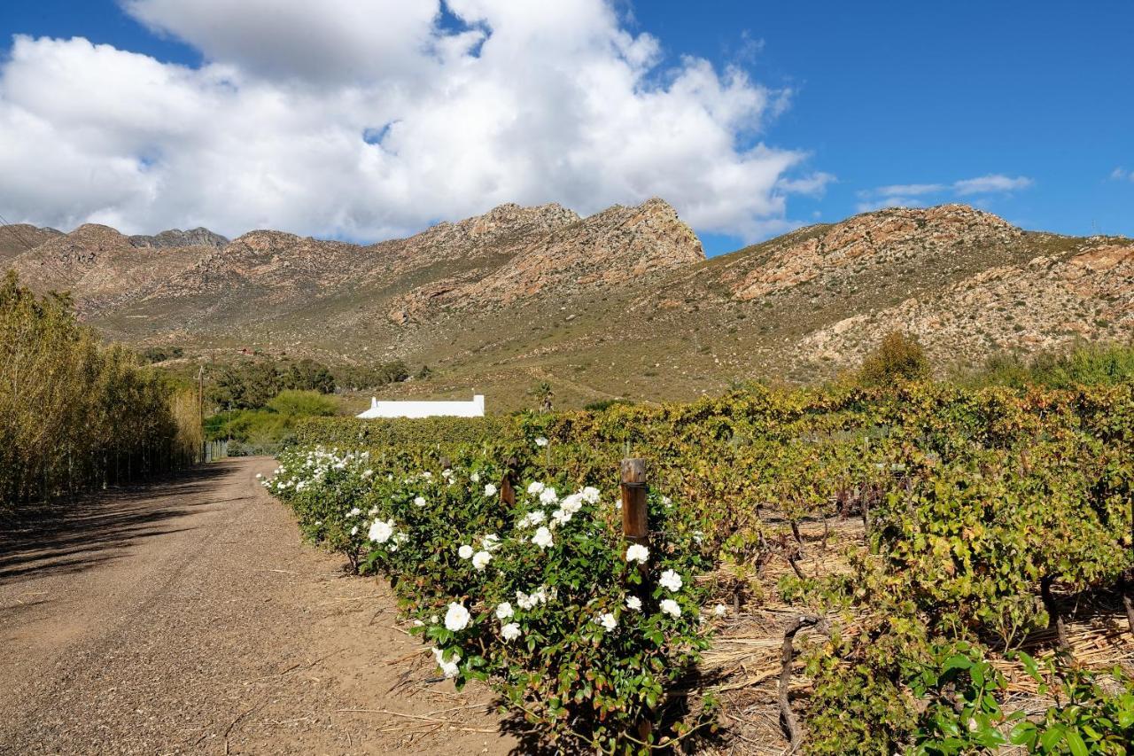 Jus Limin Hotel Montagu Buitenkant foto